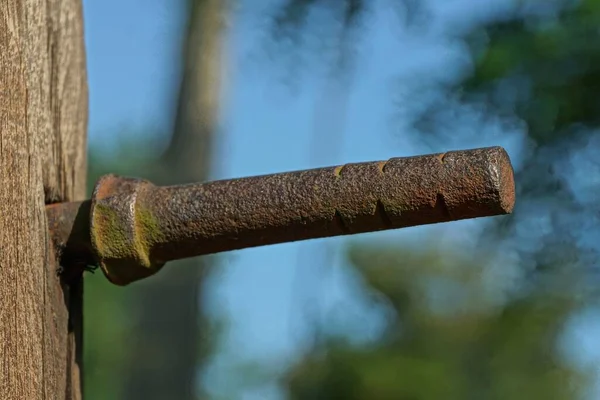Langer Brauner Eisenbolzen Rost Einem Grauen Holzbrett Auf Blauem Hintergrund — Stockfoto