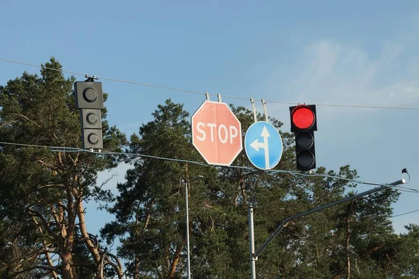 Sinais Estrada Semáforos Pendurados Fios Acima Estrada Contra Fundo Árvores — Fotografia de Stock