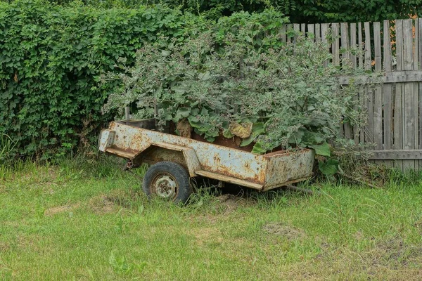 Old Gray Metal Trailer Stands Green Grass Overgrown Burdocks Wooden — Stock Photo, Image