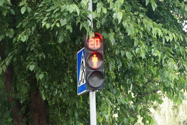 道路上有叶子的绿色树枝中间有红灯的杆子上的黑色红绿灯 — 图库照片