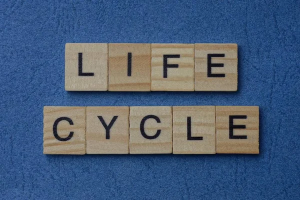 Phrase Life Cycle Made Gray Wooden Letters Lies Blue Background — Stock Photo, Image