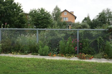 yeşil bitki örtüsü ve çiçeklerle bezenmiş metal bir çitin gri duvarı.