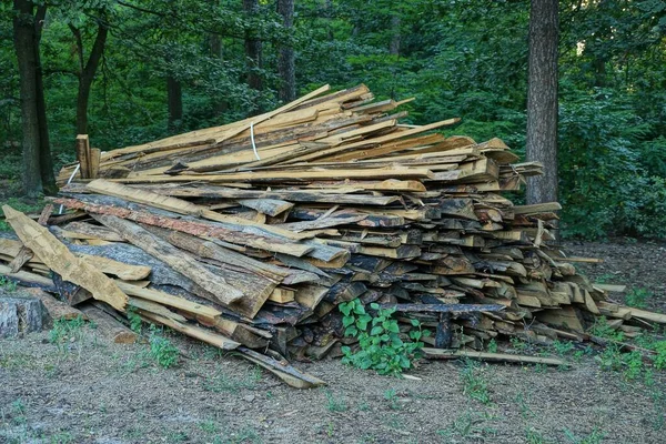 Grande Mucchio Lunghe Tavole Legno Marrone Sulla Natura Nella Foresta — Foto Stock