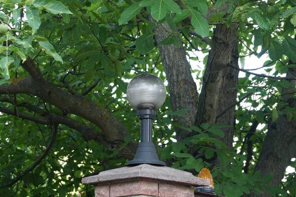 Jedna Bílá Kulatá Skleněná Lampa Plotě Proti Šedému Dřevěnému Pozadí — Stock fotografie