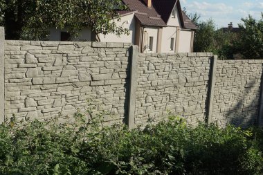 yeşil çimenli bir çitin gri beton duvarı