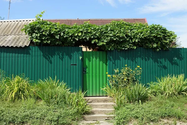 Porta Metal Verde Fechado Muro Vedação Ferro Coberto Com Vegetação — Fotografia de Stock