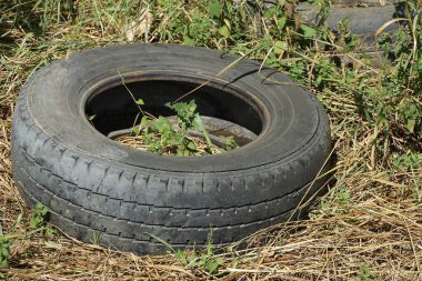 Siyah araba lastiğinin çöpleri, doğada gri kuru otlarla kaplanmış.