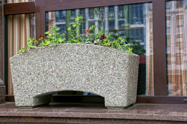 Ein Grauer Steinblumentopf Mit Grüner Vegetation Und Blumen Steht Auf — Stockfoto