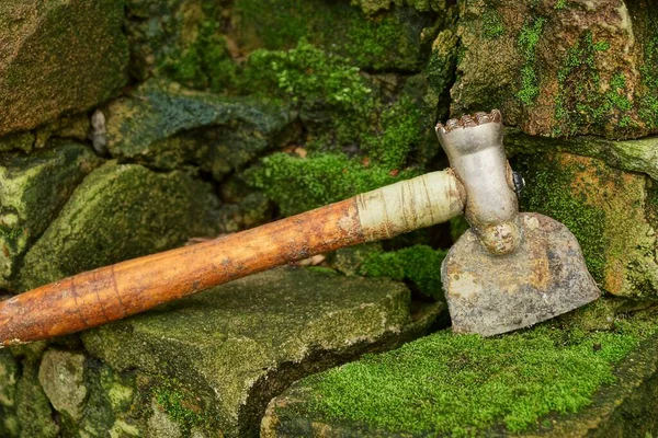 one old dirty iron kitchen hatchet with a long brown wooden handle on stones and bricks of a wall in green moss