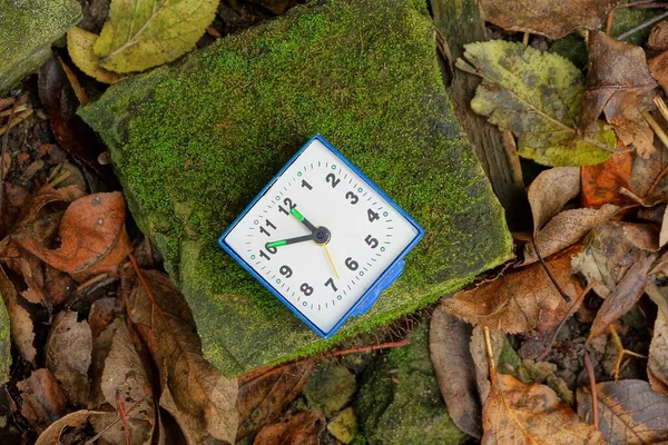 Relógio Quadrado Branco Alarme Encontra Uma Pedra Cercada Pelo Musgo — Fotografia de Stock