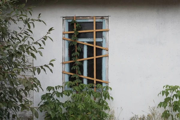 Ein Altes Fenster Mit Dünnen Holzbrettern Einer Weißen Wand Grünen — Stockfoto