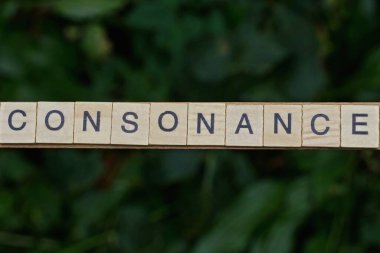 yeşil arkaplandaki ahşap kare harflerden oluşan gri kelime uyumluluğu