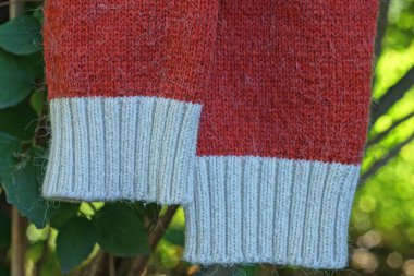 Yaz caddesinde yeşil bitki örtüsüne asılı iki kırmızı beyaz yün kazak.