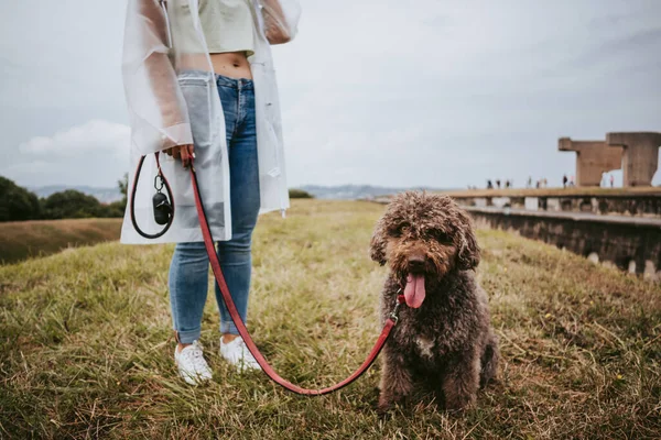 Een Persoon Die Met Haar Spaanse Waterhond Loopt Een Regenachtige — Stockfoto