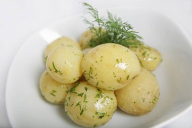 Hafif bir arka planda beyaz bir plaka üzerinde dereotu ile genç haşlanmış patates