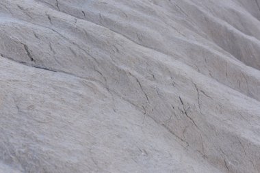 Fosiller ile doğal gri taş dokusu. Adriyatik Denizi'ndeki Kaya