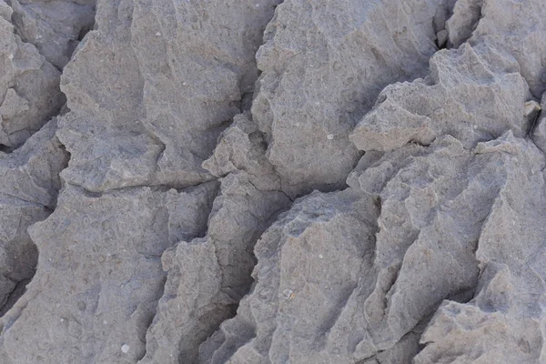 Textura Přírodního Šedého Kamene Zkamenělin Skála Jaderském Moři — Stock fotografie