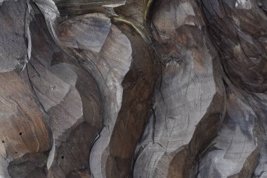 Eski bir ahşap ürünün dokusunun frontal görüntü. Soyut dokulu ahşap arka plan.