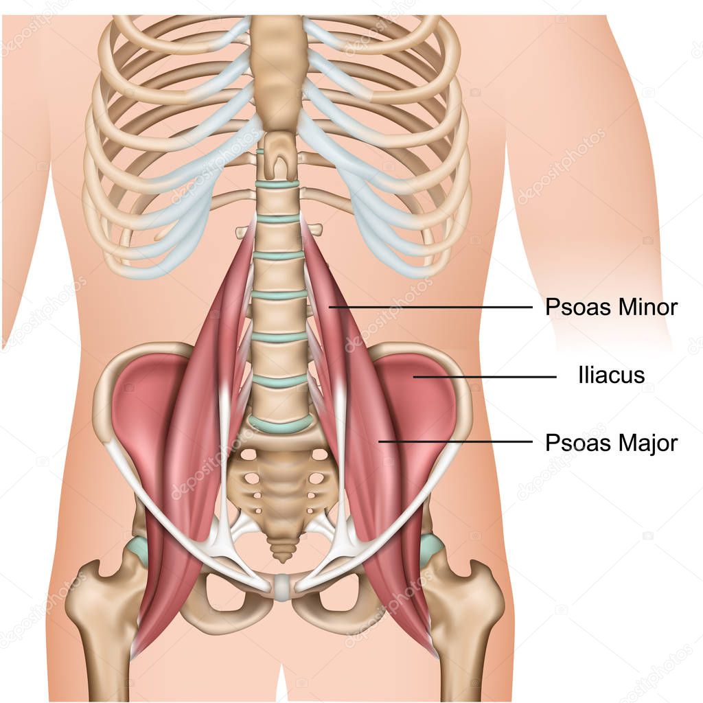 medicalstocks