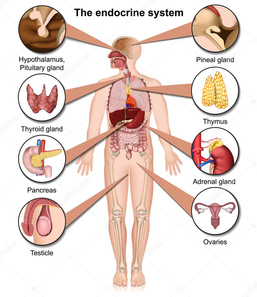 medicalstocks