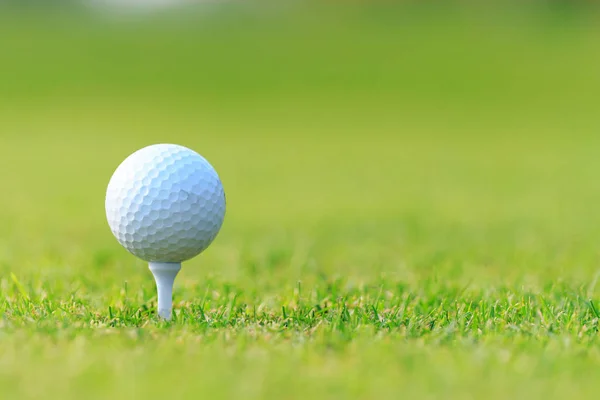 Golfboll Tee Grönt Gräs Golfbana — Stockfoto