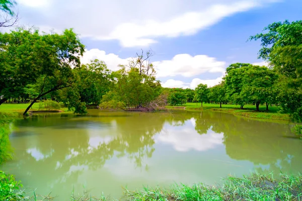 Árbol Verde Hermoso Parque Bajo Cielo Azul Con Reflejo Agua — Foto de Stock