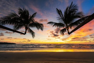 Güzel tropikal plaj ve deniz ile Hindistan cevizi hurma ağacı batımında silüeti