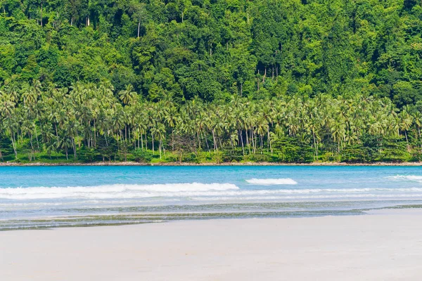 Tropisch Strand Zee Met Coconut Palm Tree — Stockfoto