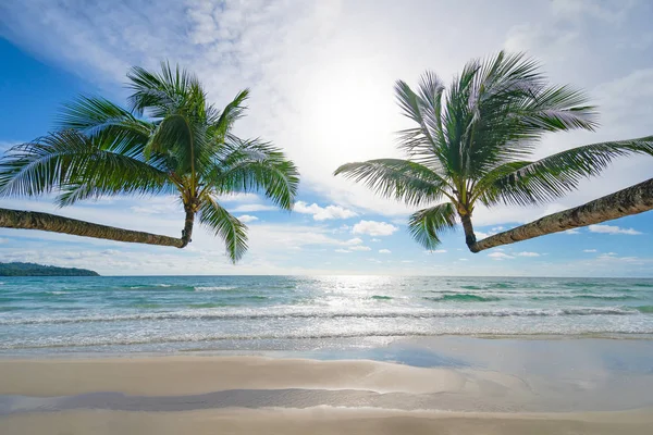 Beautiful Tropical Beach Sea Coconut Palm Tree Blue Sky — Stock Photo, Image