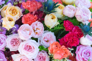 Karışık düğün çiçek, çiçek arka plan çok renkli 