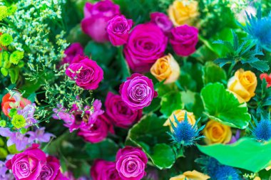 Karışık çok gül çiçek dekorasyon, çiçek arka plan düğün renkli renkli.