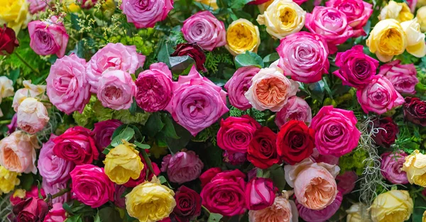Mieszane Multi Kolorowe Róże Kwiatowy Wystrój Kolorowe Kwiaty Tło Wesele — Zdjęcie stockowe