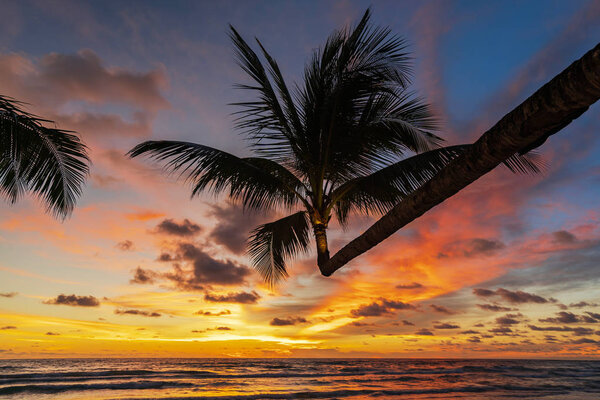 Beautiful tropical beach and sea with silhouette of coconut palm tree at sunset