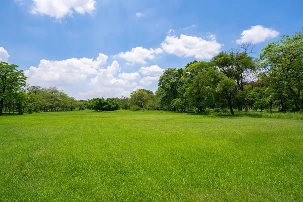 在蓝天下美丽的公园里的草和绿树 — 图库照片