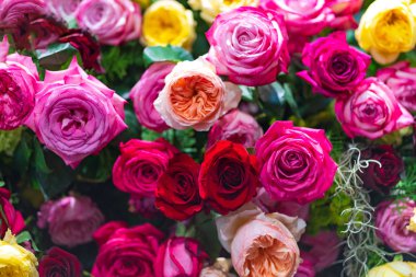 Karışık çok gül çiçek dekorasyon, çiçek arka plan düğün renkli renkli.