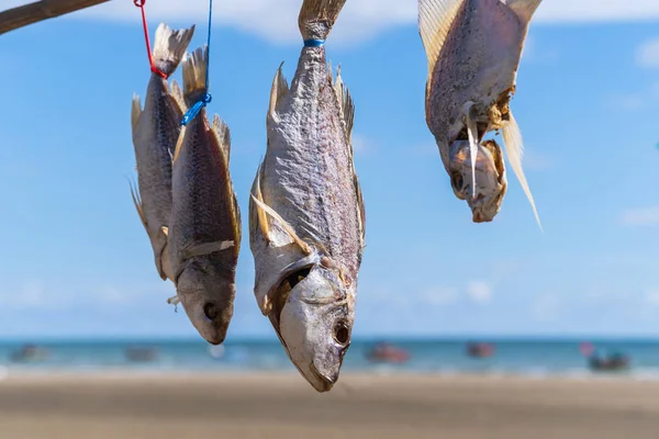 Peixes Livre Secagem Sol Acima Mar Azul Céu — Fotografia de Stock