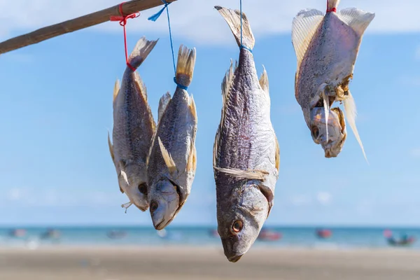 Fish Outdoor Drying Sun Blue Sea Sky — Stock Photo, Image