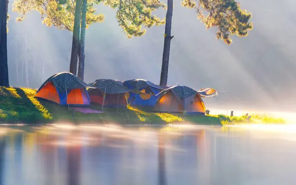 Äventyr Camping Turism Och Tält Tallskogen Med Reflektion Vatten Morgon — Stockfoto