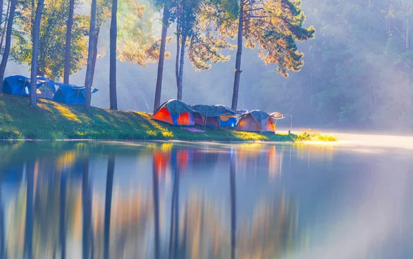 Äventyr Camping Turism Och Tält Tallskogen Med Reflektion Vatten Morgon — Stockfoto