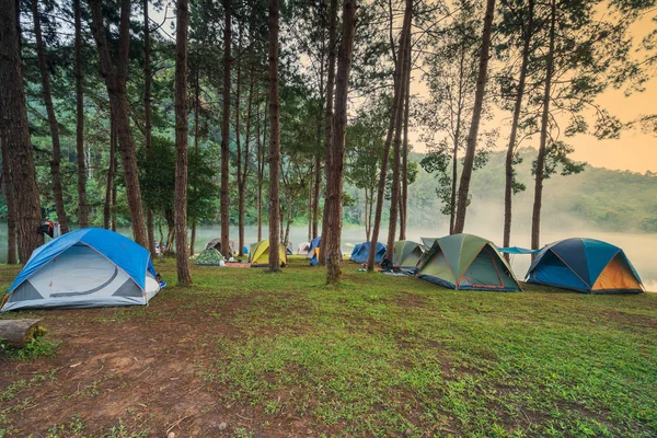 Aventuras Acampar Acampar Manhã Com Nevoeiro Leve Pang Ung Mae — Fotografia de Stock