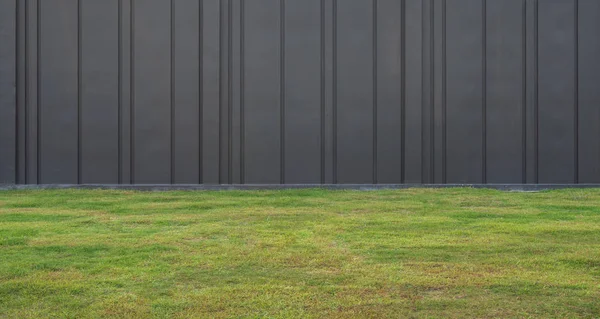 Yeşil Çim Siyah Arka Plan Duvar — Stok fotoğraf