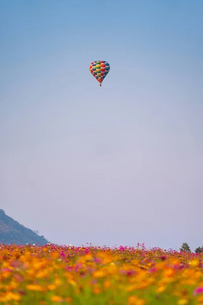 Balão Céu Azul Sobre Belo Jardim Flores — Fotografia de Stock