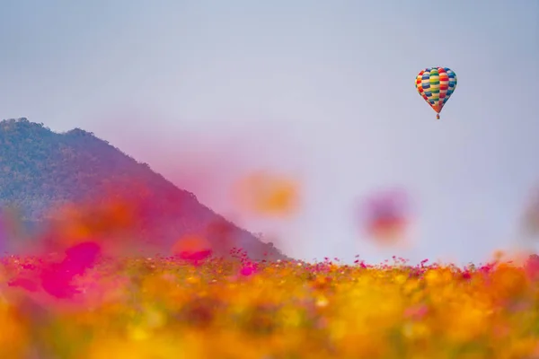 Balão Céu Azul Sobre Belo Jardim Flores — Fotografia de Stock