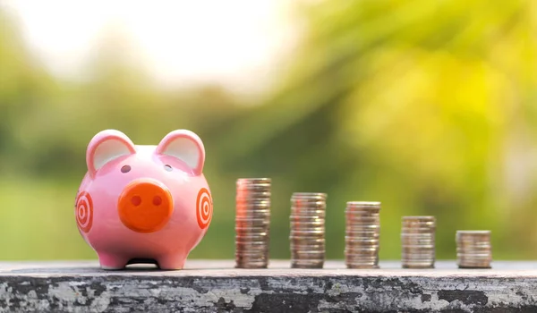 The concept of saving money, Piggy bank and coins over blurred g — Stock Photo, Image
