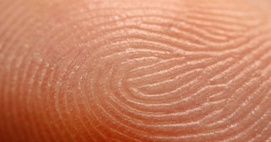 Parmak izi, Süper Makro