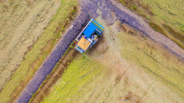 Vista superior aérea de la máquina segador trabajando en el campo de arroz de — Foto de Stock