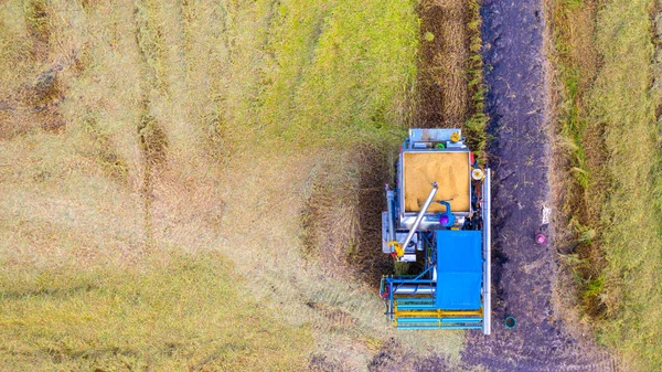 Vista superior aérea de la máquina segador trabajando en el campo de arroz de — Foto de Stock