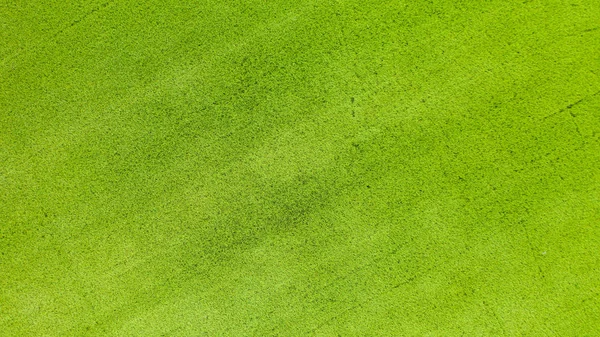Horní vzdušný pohled na oblast zelené rýže shora — Stock fotografie