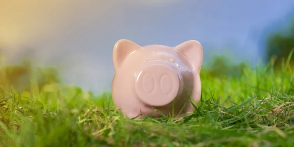 Pink piggy bank on grass under blue sky — Stock Photo, Image