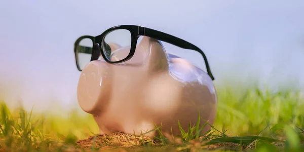 Różowa świnka bank z okularami na trawie pod błękitnym niebem — Zdjęcie stockowe